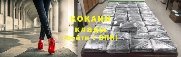 хмурый Сосновка