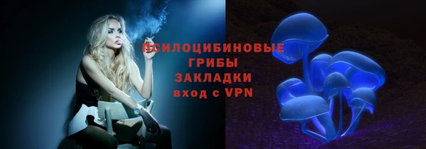 хмурый Сосновка