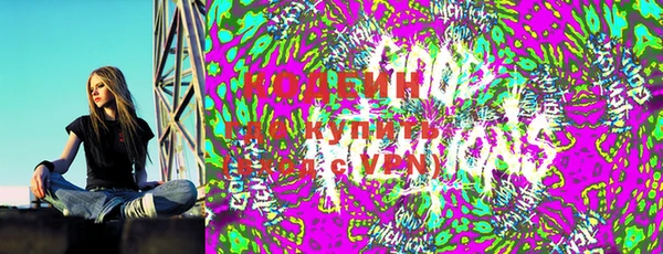 хмурый Сосновка