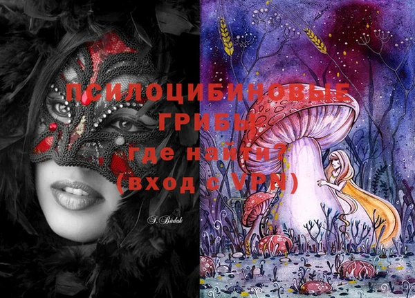 молекула духа Струнино