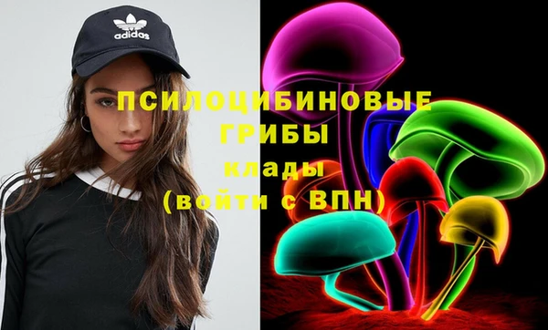 молекула духа Струнино