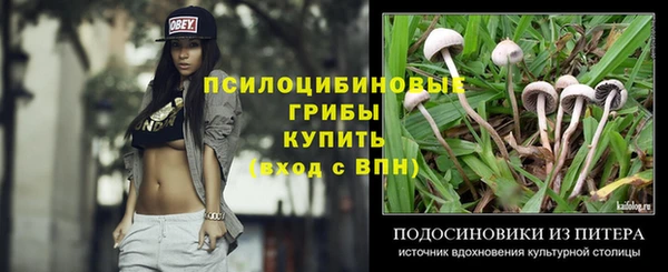 спиды Сосновоборск
