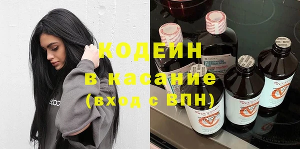 хмурый Сосновка