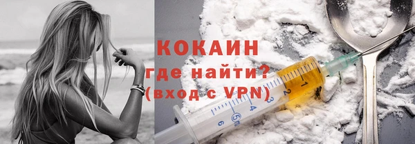 хмурый Сосновка