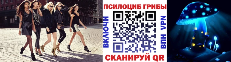 Псилоцибиновые грибы Cubensis  Ухта 