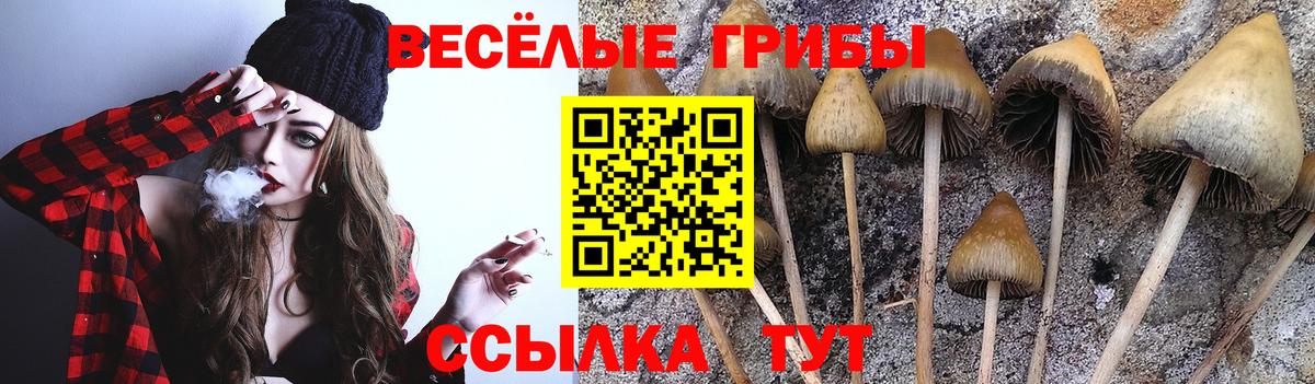 Псилоцибиновые грибы Magic Shrooms Ухта