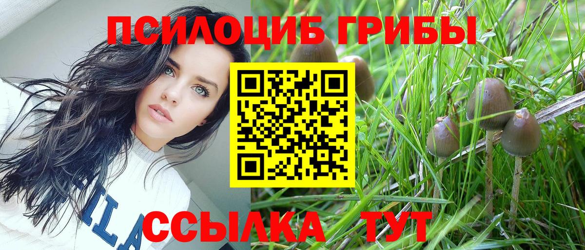 Ухта  Галлюциногенные грибы Magic Shrooms  Вход с VPN 